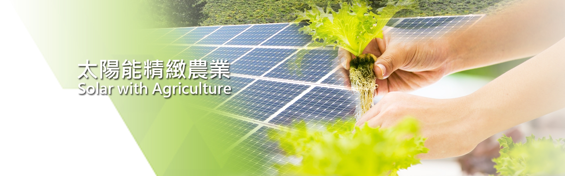 Solar with Agriculture